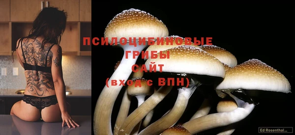 ПСИЛОЦИБИНОВЫЕ ГРИБЫ Балабаново