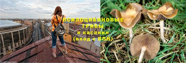 ПСИЛОЦИБИНОВЫЕ ГРИБЫ Балабаново