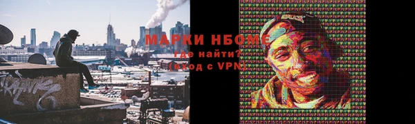 ПСИЛОЦИБИНОВЫЕ ГРИБЫ Балабаново