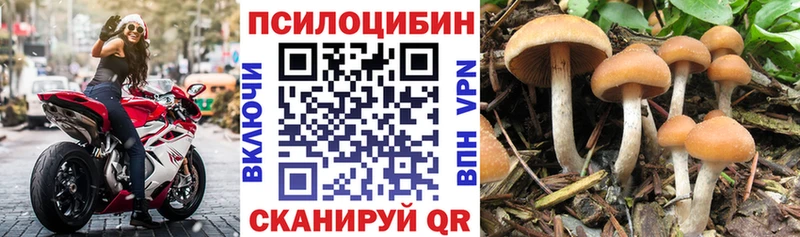 OMG рабочий сайт  Звенигово  Псилоцибиновые грибы ЛСД 